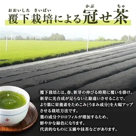 銘茶の里奥八女 特上深蒸し茶 高級煎茶(冠せ茶)(各100g×2)_飲料・ドリンク 茶葉・ティーバッグ 茶 _【1551643】