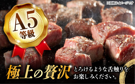 【3回定期便】 【飛騨牛】A5等級 サイコロステーキ 部位おまかせ 500g [TAZ039] ステーキ