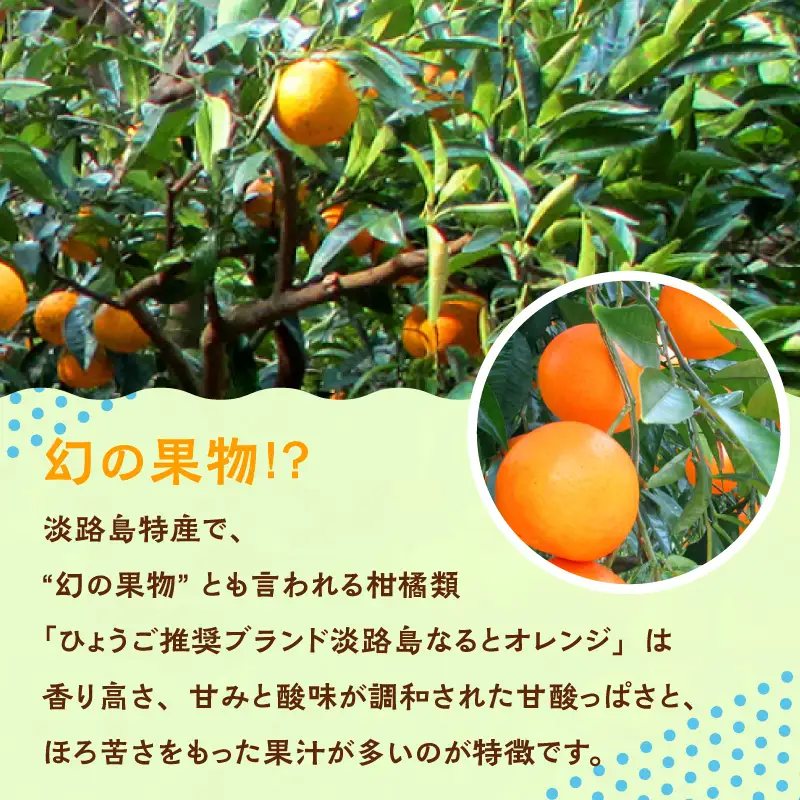 【数量限定】 淡路島産なるとオレンジジュース2本セット 