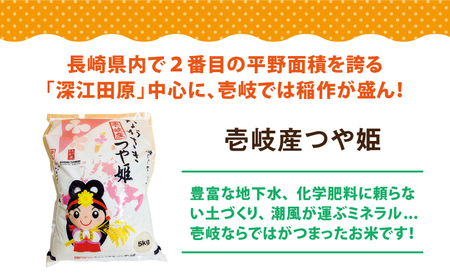 壱岐産米 つや姫 10kg 《壱岐市》【壱岐市農業協同組合】[JBO143]
