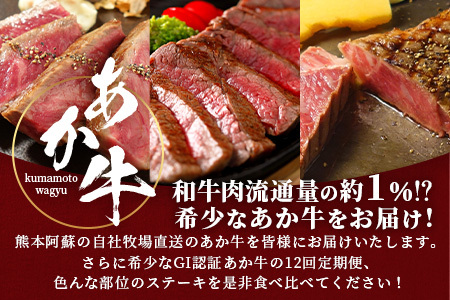【定期便 12回】≪GI認証≫くまもと あか牛 12種 食べ比べ【ご褒美 定期便】ステーキ シャトーブリアン サーロイン ランプ ミスジ リブ ロース 12回配送 ステーキ 和牛 あか牛 牛肉 赤身 肉 和牛 046-0677