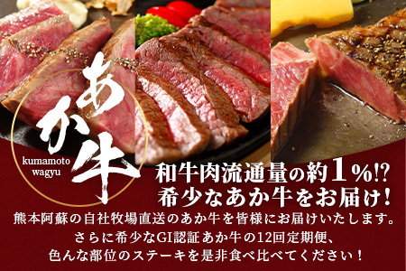 【定期便 12回】≪GI認証≫くまもと あか牛 12種 食べ比べ【家族で ご褒美 定期便】ステーキ シャトーブリアン サーロイン ランプ ミスジ リブ ロース 12回配送 ステーキ 和牛 あか牛 牛肉 赤身 肉 和牛 046-0678