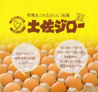 裏庭の土佐ジロー 有精卵 25個入り パック 卵