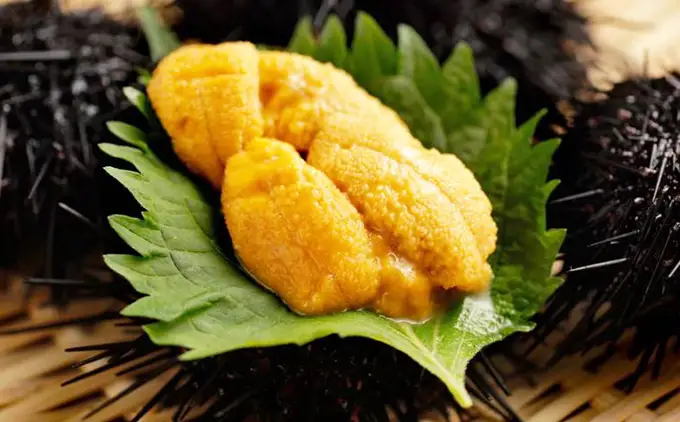 【令和8年発送先行予約】塩水うに 500g×1パック