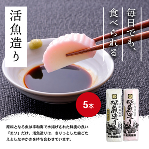 活魚造り かまぼこ 5本 詰合せ 安岡蒲鉾店 かまぼこ C012-020007