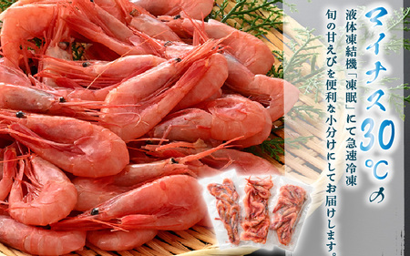 旬子持ち甘えび 小分け 約500g【12尾前後 × 3袋】中サイズ 鮮度格別 獲れたてを液体凍結 甘エビ 海老 お刺身 [m36-a014]