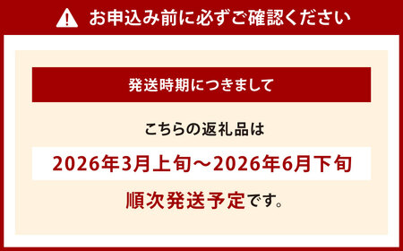 福岡県北九州市若松区産 若松濃縮トマト 約2.4kg 【1.2kg箱（15玉～30玉入り）×2箱】【2026年3月上旬～6月下旬発送予定】トマト とまと 野菜 国産 北九州市産