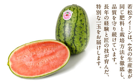 福岡県 北九州市 若松産 【優等品】 若松クイーン 約4kg以上 (約2kg以上2玉入り) 【2026年7月上旬から8月上旬発送予定】すいか スイカ フルーツ 果物 くだもの