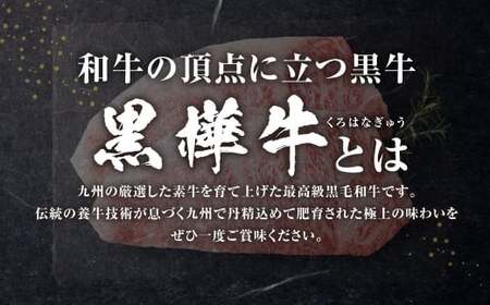黒樺牛 肉厚サーロインステーキ 約600g （約300g×2パック） お肉 肉 牛肉 ブランド黒毛和牛 和牛 黒毛和牛 ブランド牛 サーロイン ステーキ ロースステーキ 冷凍 国産 九州産 冷凍