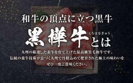 黒樺牛 焼肉用カルビ 500g（250g×2パック） お肉 肉 牛肉 ブランド黒毛和牛 和牛 黒毛和牛 ブランド牛 焼き肉 焼肉 BBQ バーベキュー カルビ 冷凍 国産 九州産 冷凍