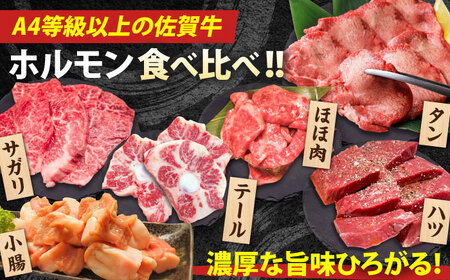 【全3回定期便】佐賀牛6種食べ比べ！ ホルモンバラエティセット 5.4kg 4-5人前 タン・小腸など 吉野ヶ里町/やきとり紋次郎[FCJ104]
