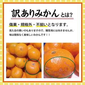 【先行受付】【訳あり】有田みかん 5kg ｜ みかん みかん みかん みかん みかん