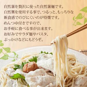 自然薯麺 めんつゆ付き３パックセット