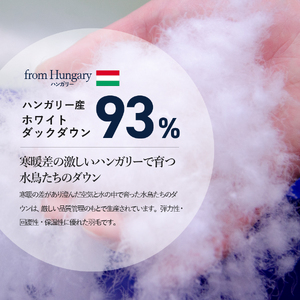  布団【甲州羽毛ふとん】サステナブルな軽量羽毛本掛け布団（シングル/アイボリー）