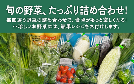 淡路島の加工品付き旬の野菜セット