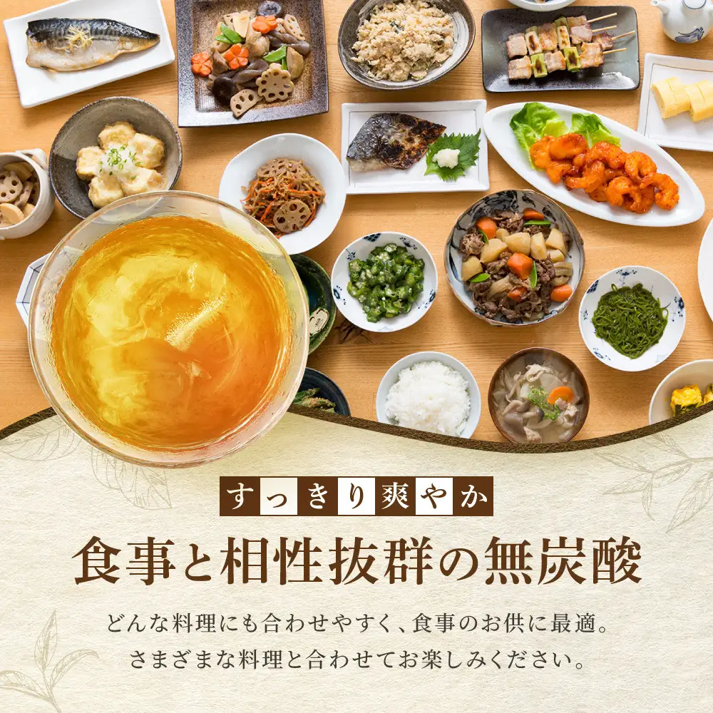 【タカラ】宝焼酎の烏龍割り(480ml×24本) ｜京都 酎ハイ サワー 人気セット 酎ハイ