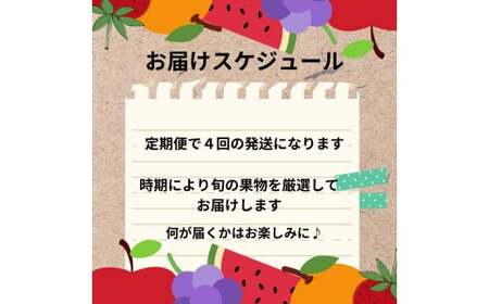【年4回定期便(1月・2月・3月・4月配送)】お任せフルーツ！ M  ／  フルーツ 果物 くだもの 旬 おまかせ お任せ お楽しみ 長崎県 長崎市