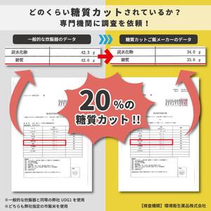 糖質カット ご飯メーカー 2合炊き 電子レンジ 調理 器具 炊飯器 キッチン スケーター株式会社 8-012 (570018)