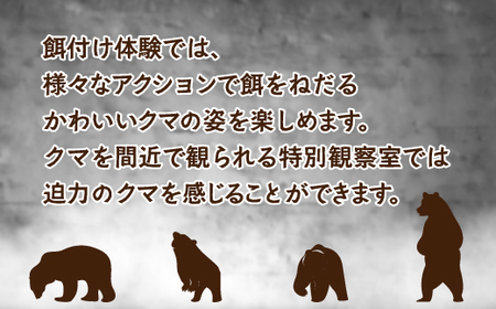 昭和新山熊牧場入場券4枚 SBTZ001