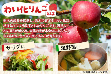 りんご酢ドレッシング 3本セット