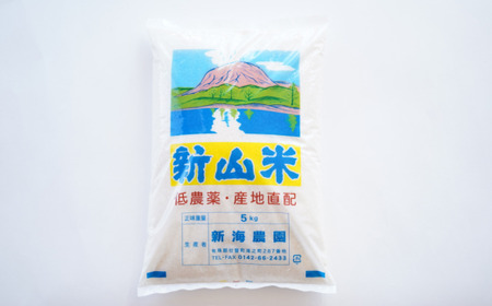 【令和7年産】新山米（ななつぼし）5kg×2袋 10kg SBTC007