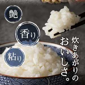 a24-069　令和７年産 5つ星お米マイスター厳選 焼津の魚に合う美味い米 にこまる 白米10kg (5kg×2)