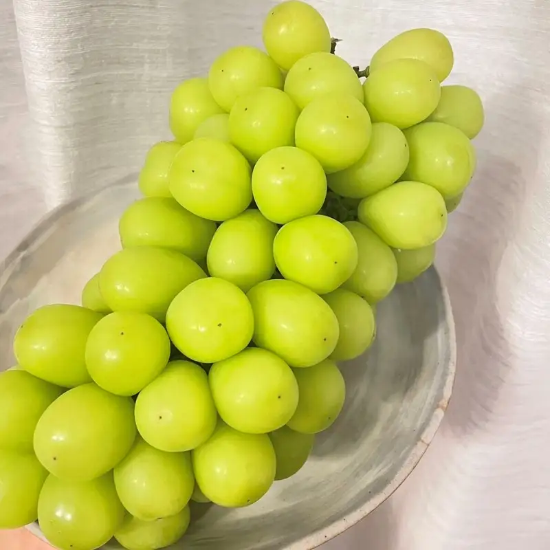 【先行予約／数量限定50】シャインマスカット 700g以上（1房入り）（2026年9月上旬～発送）