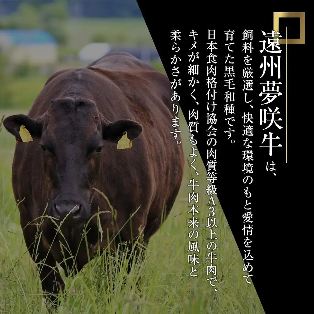 遠州夢咲牛　1頭　黒毛和牛　食べつくし オーダーカット約250kg～300kg 静岡県　地元大人気！！　お肉屋さんマルマツ　肉のプロ