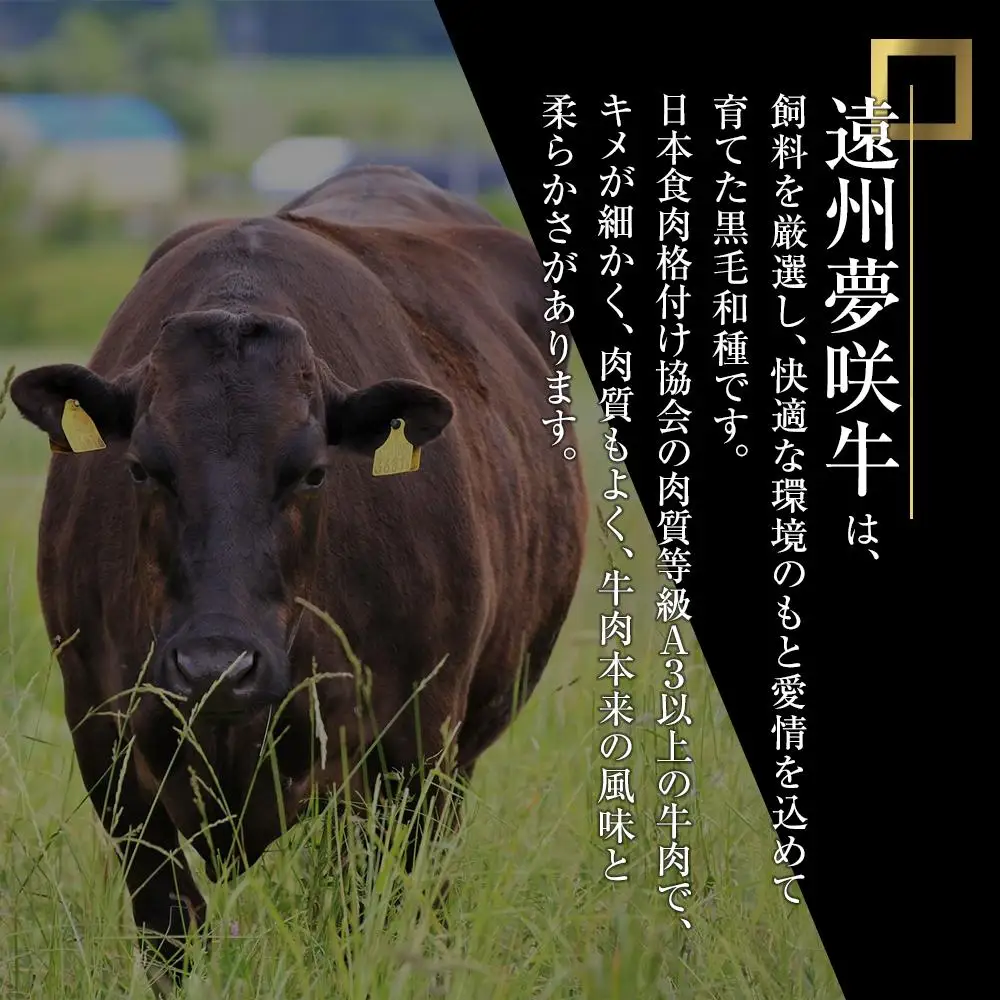 遠州夢咲牛　半頭　黒毛和牛　食べつくし オーダーカット約125kg～150kg 静岡県　地元大人気！！　お肉屋さんマルマツ　肉のプロ