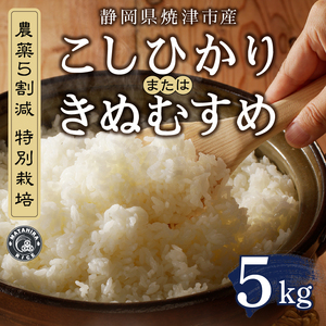 a13-141　令和７年産 農薬5割減 特別栽培 コシヒカリ または きぬむすめ 白米5kg