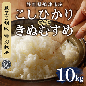 a25-070　令和７年産 農薬5割減 特別栽培 コシヒカリ または きぬむすめ 白米10kg（5kg×2袋）