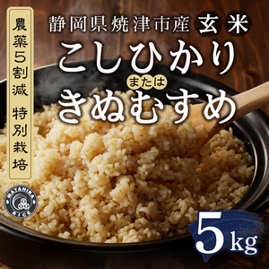 a13-142　令和７年産　農薬5割減 特別栽培 コシヒカリ または きぬむすめ 玄米 5kg