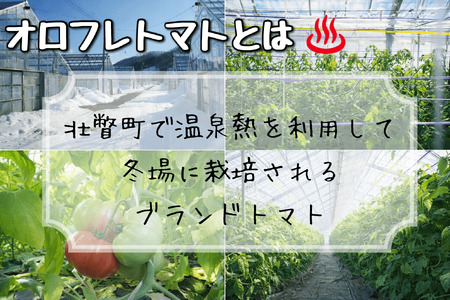 ＜2026年3月上旬より順次お届け＞北海道壮瞥産 オロフレトマト18玉入り（Lサイズ） SBTA029
