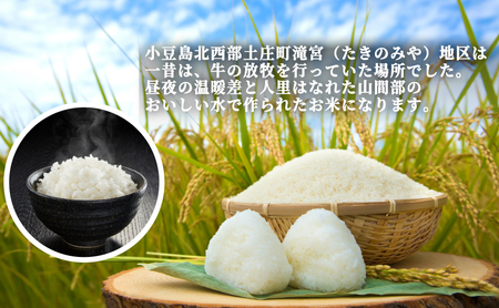 【 小豆島 】小豆島 滝宮で獲れたふっくらつやつや 小豆島産 コシヒカリ 300g×10個 こしひかり お試し 少量 小分け お米 米 白米 精米 もっちり 甘み 3kg 香川 香川県 土庄 土庄町
