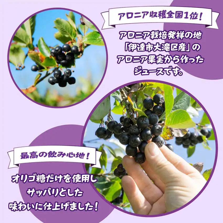 [5525-1044]北海道 伊達 大滝産 アロニア ジュース 500ml 2本 果汁 果実飲料 飲料 飲み物 フルーツ スーパーフード ポリフェノール