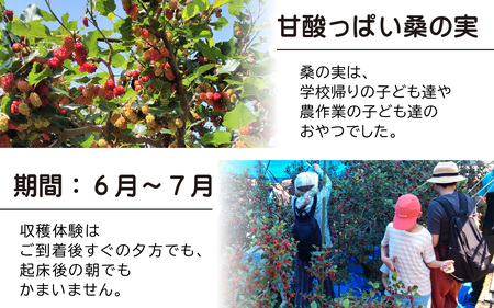 【期間限定6月~7月】親子で桑の実収穫体験と禅の里百年古民家「駅前宿舎禪」お泊り券/ フルーツ狩り 北陸観光 福井観光 おでかけ 家族旅行 永平寺 福井 北陸 [F-046001]