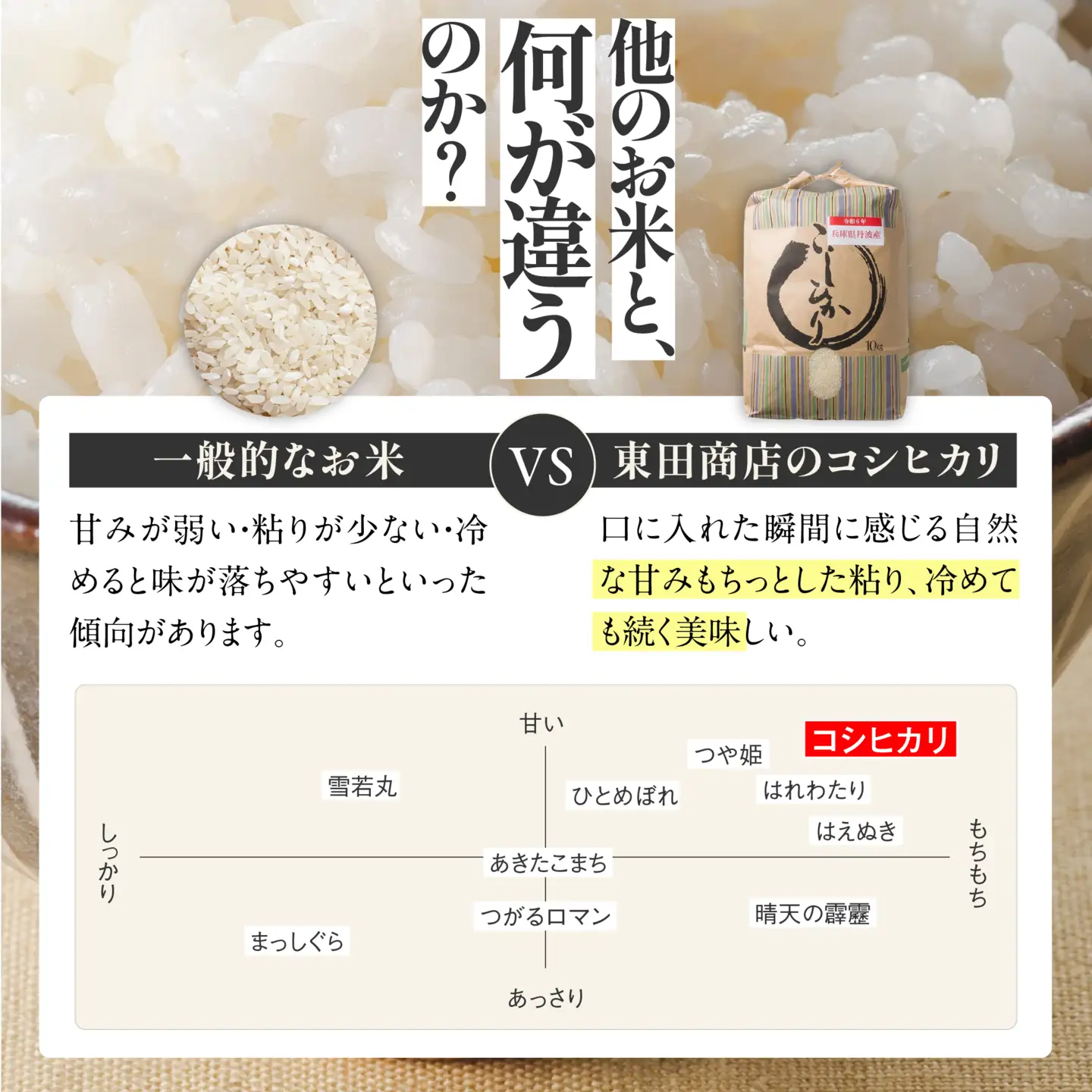 【コシヒカリ】令和7年産 白米30kg【5営業日以内に発送】
