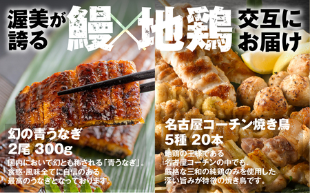 【定期便】うな鶏定期便　12回定期便 うなぎ 名古屋コーチン