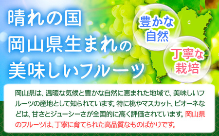 シャインマスカット 約2kg (3-4房) 花田青果株式会社 シャインマスカット