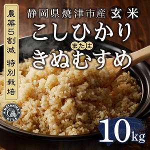 a25-071　令和７年産　農薬5割減 特別栽培 コシヒカリ または きぬむすめ 玄米 10kg（5kg×2袋）