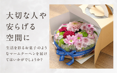【マームクーヘン キット】～Cute/キュート～