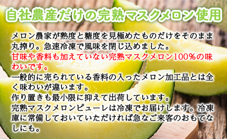  メロンピューレ(120g×5袋) バニラアイス(80ｇ×5個) アイス tn-0021