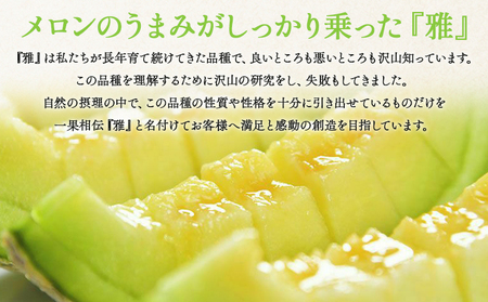 【11月以降順次配送】高知県産 マスクメロン ２玉 家庭用 【 赤肉青肉セット フルーツ くだもの フルーツ メロンの返礼品 】 香南市 tn-0026