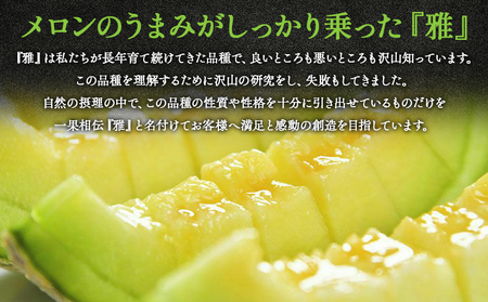 マスクメロン 2玉 食べ比べ メロン tn-0027