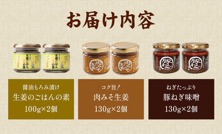 ご飯のお供 3種 セット 生姜ごはんの素 100g × 2 肉みそ生姜 130g × 2 豚ねぎ味噌 130g × 2 株式会社風土食房《30日以内に出荷予定(土日祝除く)》千葉県 我孫子市 肉みそ