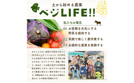 野菜 旬の野菜セット Lサイズ 約10～11種 《30日以内に出荷予定(土日祝除く)》 ベジLIFE!! 【配送不可地域あり】（沖縄・離島） 季節の野菜  料理 甘い 採れたて トマト 新玉ねぎ じゃがいも キャベツ 白菜 ベジライフ 千葉県 我孫子市