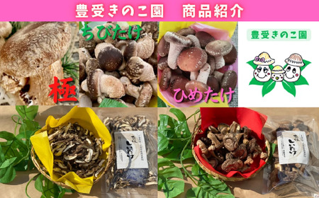 【豊受きのこ園】しいたけ詰め合わせセット《30日以内に出荷予定(土日祝除く)》LifeSS株式会社