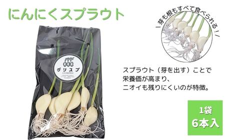 にんにくスプラウト10袋セット《30日以内に出荷予定(土日祝除く)》