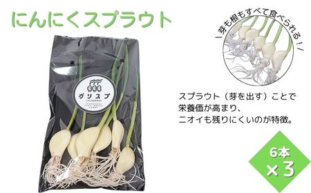 にんにくスプラウト・むきにんにく・切干にんにくの3種セット《30日以内に出荷予定(土日祝除く)》