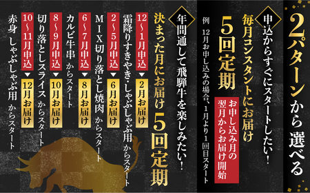 【固定月にお届け】飛騨牛 5回定期便 （スライス すき焼き しゃぶしゃぶ 焼肉 牛串 ）5回 お楽しみ 食べ比べ 牛肉 肉 和牛[Q1675yx]